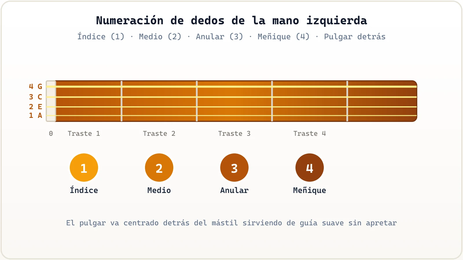 Mano izquierda en el ukelele con dedos 1 a 4 numerados pisando cerca del traste